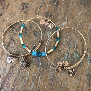 Alex and Ani Bracelet